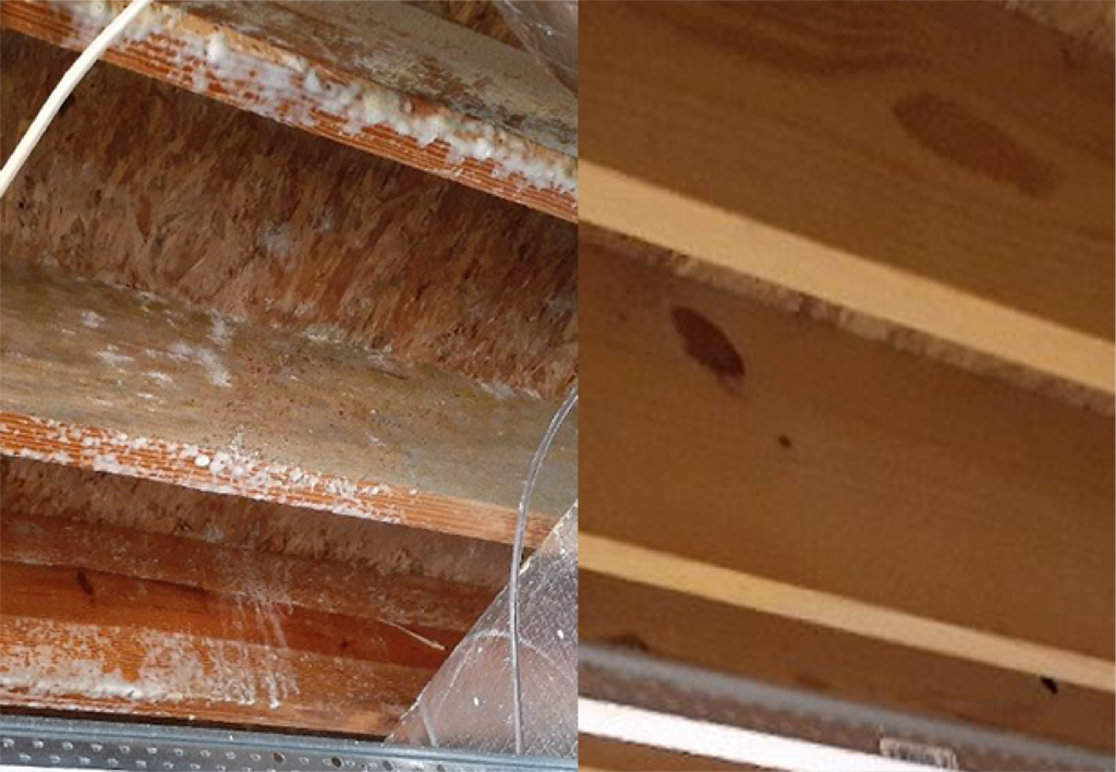 Mold remediation and mold removal service before and after image in Austin TX crawlspace