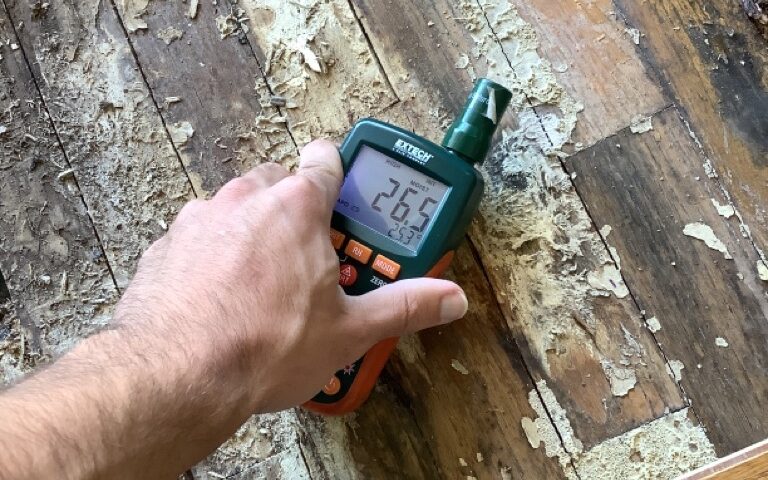 black mold and moisture inspection in Austin Texas home